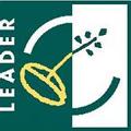 LEADER