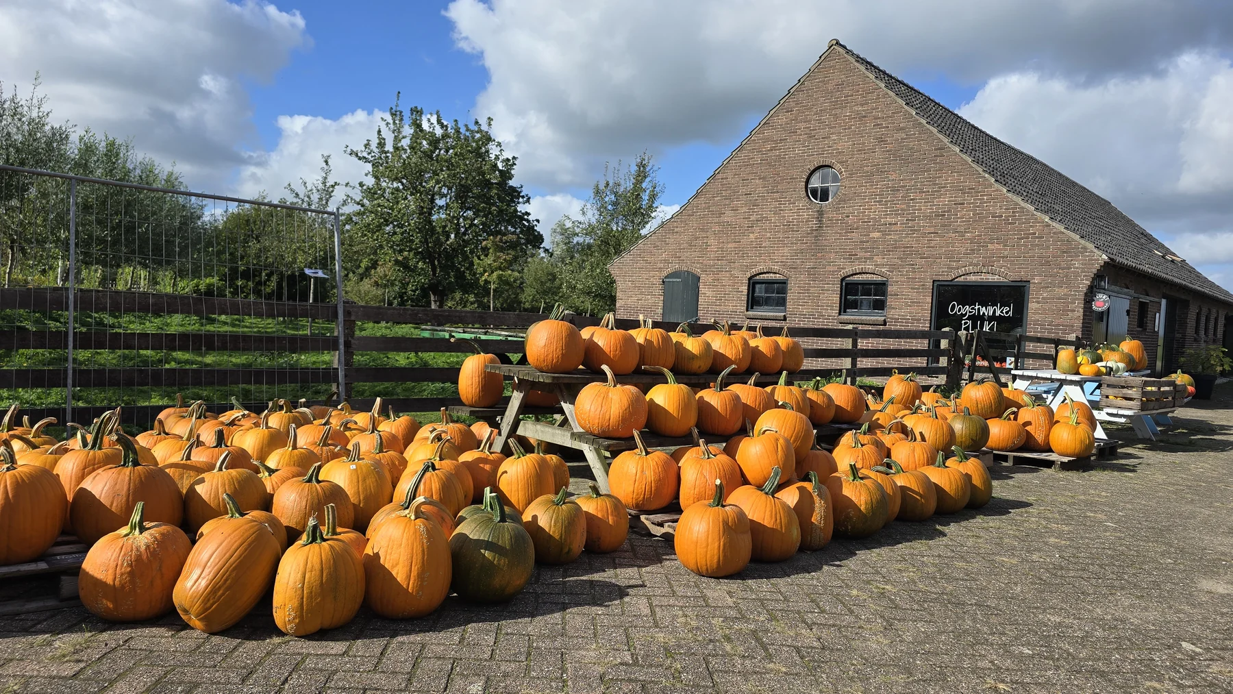 De pompoenenkraam met grote oranje pompoenen en houten kisten op het erf