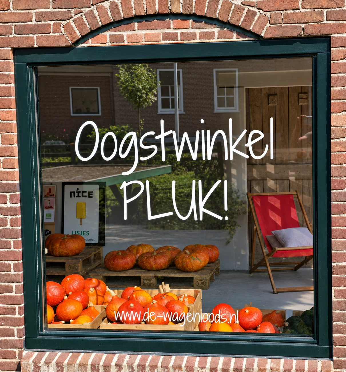 Raam van Oogstwinkel Pluk! met handgeschreven winkelnaam en pompoenen