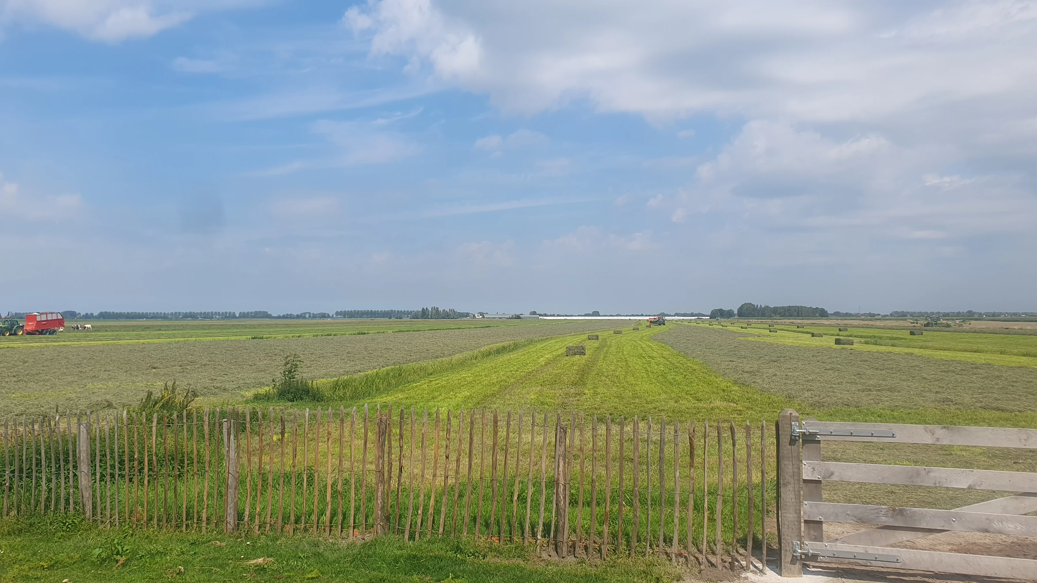 Weids uitzicht op de weilanden van de Gnephoekpolder